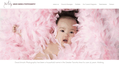 Desktop Screenshot of davidamoils.com